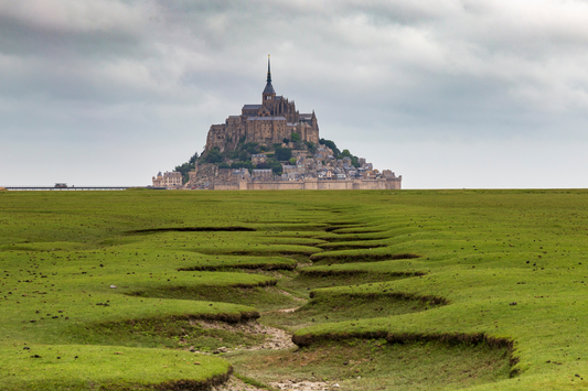 Excursion Paris Mont Saint-Michel in a Day