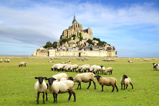 When is the Best Time to Visit Mont Saint-Michel and Its Abbey?